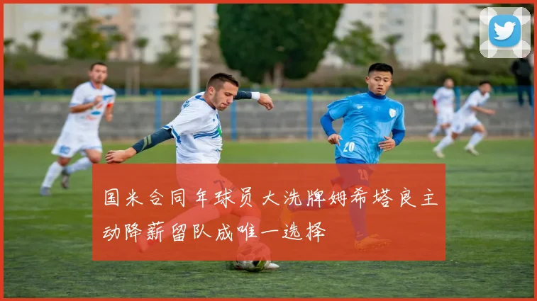 国米合同年球员大洗牌姆希塔良主动降薪留队成唯一选择