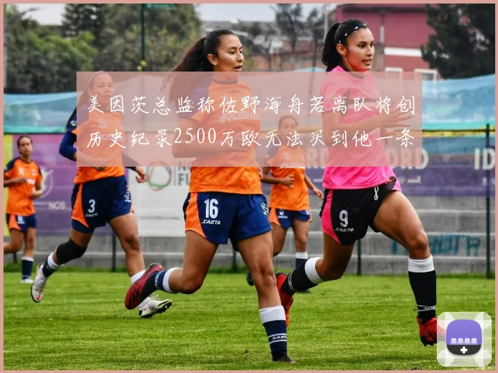 美因茨总监称佐野海舟若离队将创历史纪录2500万欧无法买到他一条腿